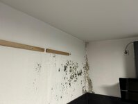 Bild 5 Sachverständiger Bau I Bauleitung I Schadensgutachten I Wertermittlung Matthias Reinhard Bickelhaupt in Pleidelsheim