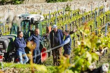 Bild 7 Stiftung Bürgerspital zum Hl. Geist Weingut in Würzburg