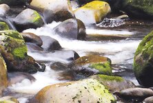 Bild 5 Naturschule Dietz in Sulzthal