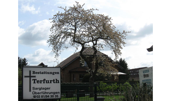 Bestattungen Terfurth in Friedrichsfeld Stadt Voerde - Logo