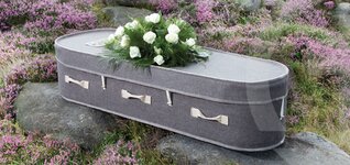 Bild 6 Oberüber Bestattungen in Dresden