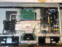 Bild 4 Iren in Berlin