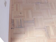 Bild 8 Holzwurm Parkett Andreas Naumann in Dresden