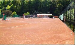 Bild 1 1. Tennis-Club Pirna e.V. in Pirna