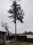 Bild 1 Seifert in Chemnitz