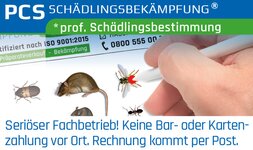 Bild 8 PCS GmbH Schädlingsbekämpfung in Aschaffenburg
