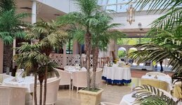 Bild 9 Ristorante Olivo d'Oro in Marktheidenfeld