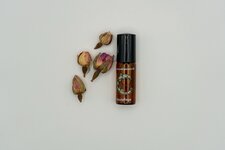 Bild 1 Noils GmbH in Meerbusch