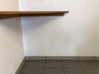 Bild 4 Paul in Würzburg