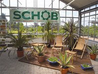Bild 1 Schob Baumschulen in Reinsdorf b Zwickau