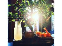 Bild 5 Mikado Friends in Dresden