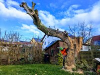 Bild 5 Ritter in Würzburg