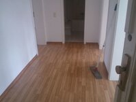 Bild 6 Holzwurm Parkett Andreas Naumann in Dresden