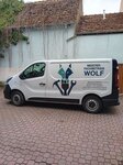 Bild 1 Wolf in Veitshöchheim
