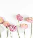 Bild 1 Antweiler in Wuppertal