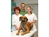 Bild 1 Tierarztpraxis Ralf Beyer in Bautzen