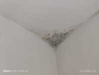 Bild 2 Sachverständiger Bau I Bauleitung I Schadensgutachten I Wertermittlung Matthias Reinhard Bickelhaupt in Pleidelsheim