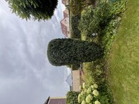 Bild 1 Schmittutz in Nüdlingen
