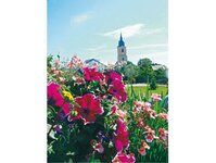 Bild 1 Gärtnerei Heßlich GbR in Riesa