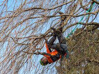 Bild 3 Ritter in Würzburg