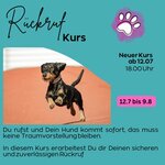 Bild 5 Pfotenliebe Stuttgart in Stuttgart