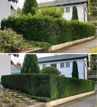 Bild 8 Havrylovskyi in Heilbronn