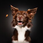 Bild 10 SK FOTOWERK in Waldstetten