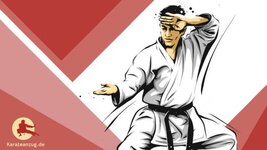 Bild 5 karateanzug.de in Villingen-Schwenningen