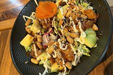 Bild 1 TOKY‑DIANA in Stuttgart