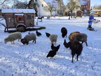 Bild 10 Belser in Berg