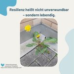 Bild 1 Systemische Praxis Stefanie Rosenberger in Murr