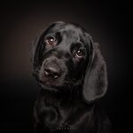 Bild 9 SK FOTOWERK in Waldstetten