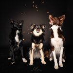 Bild 2 SK FOTOWERK in Waldstetten