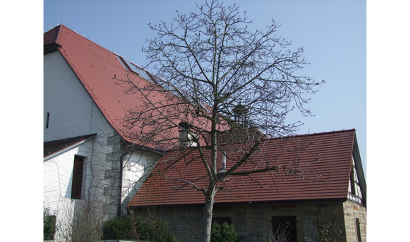 Bedachungen Töpfer in Marbach am Neckar - Logo