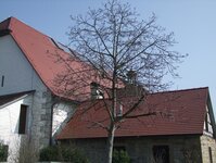 Bild1