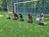 Bild 2 Hubl in Stuttgart