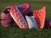 Bild 1 Diestel-Feddersen in Kernen im Remstal