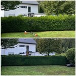 Bild 6 Havrylovskyi in Heilbronn