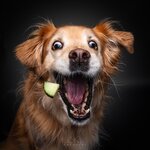 Bild 8 SK FOTOWERK in Waldstetten