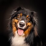 Bild 1 SK FOTOWERK in Waldstetten