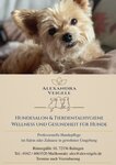 Bild 5 Hundesalon Alexandra Veigele Hundefriseurin + Wellness für Hunde in Balingen