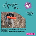 Bild 2 Pfotenliebe Stuttgart in Stuttgart