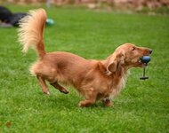 Bild 1 Hubl in Stuttgart