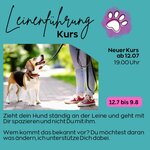 Bild 1 Pfotenliebe Stuttgart in Stuttgart