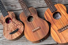 Bild 3 Ukulele-Department in Esslingen am Neckar