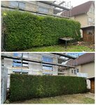 Bild 4 Havrylovskyi in Heilbronn