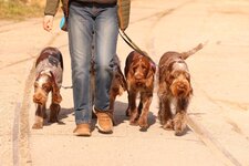 Bild 5 Hubl in Stuttgart