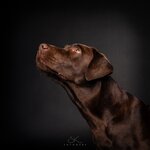 Bild 7 SK FOTOWERK in Waldstetten