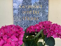 Bild 2 Malerbetrieb Farbkunst in Berg, Kr Ravensburg