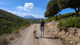 Bild 1 Bello Vita Hundetraining in Neckartenzlingen